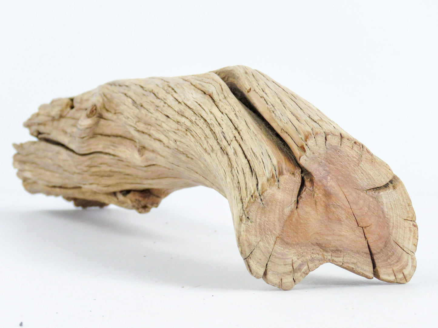 Smooth Manzanita Aquarium Driftwood log, (16"), Reptile Terrarium, Driftwood Decor, Vivarium Wood, High-Quality Arizona Manzanita Branches