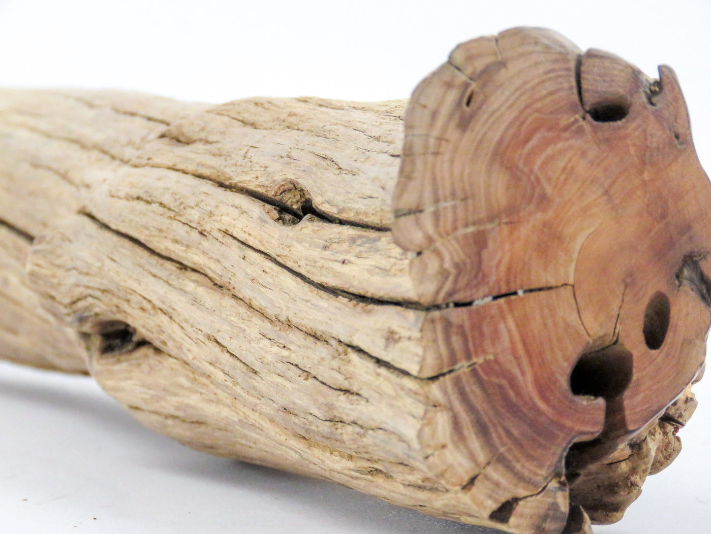 Smooth Manzanita Aquarium Driftwood log, (16"), Reptile Terrarium, Driftwood Decor, Vivarium Wood, High-Quality Arizona Manzanita Branches