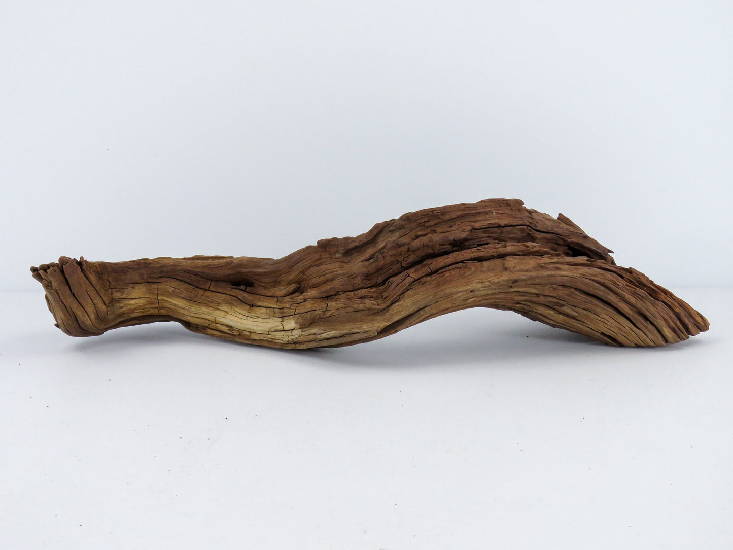 Unique Root Manzanita Driftwood, (18" & 14"), Driftwood Art, High-Quality Arizona Manzanita Driftwood, Driftwood Sculpture, Driftwood Decor