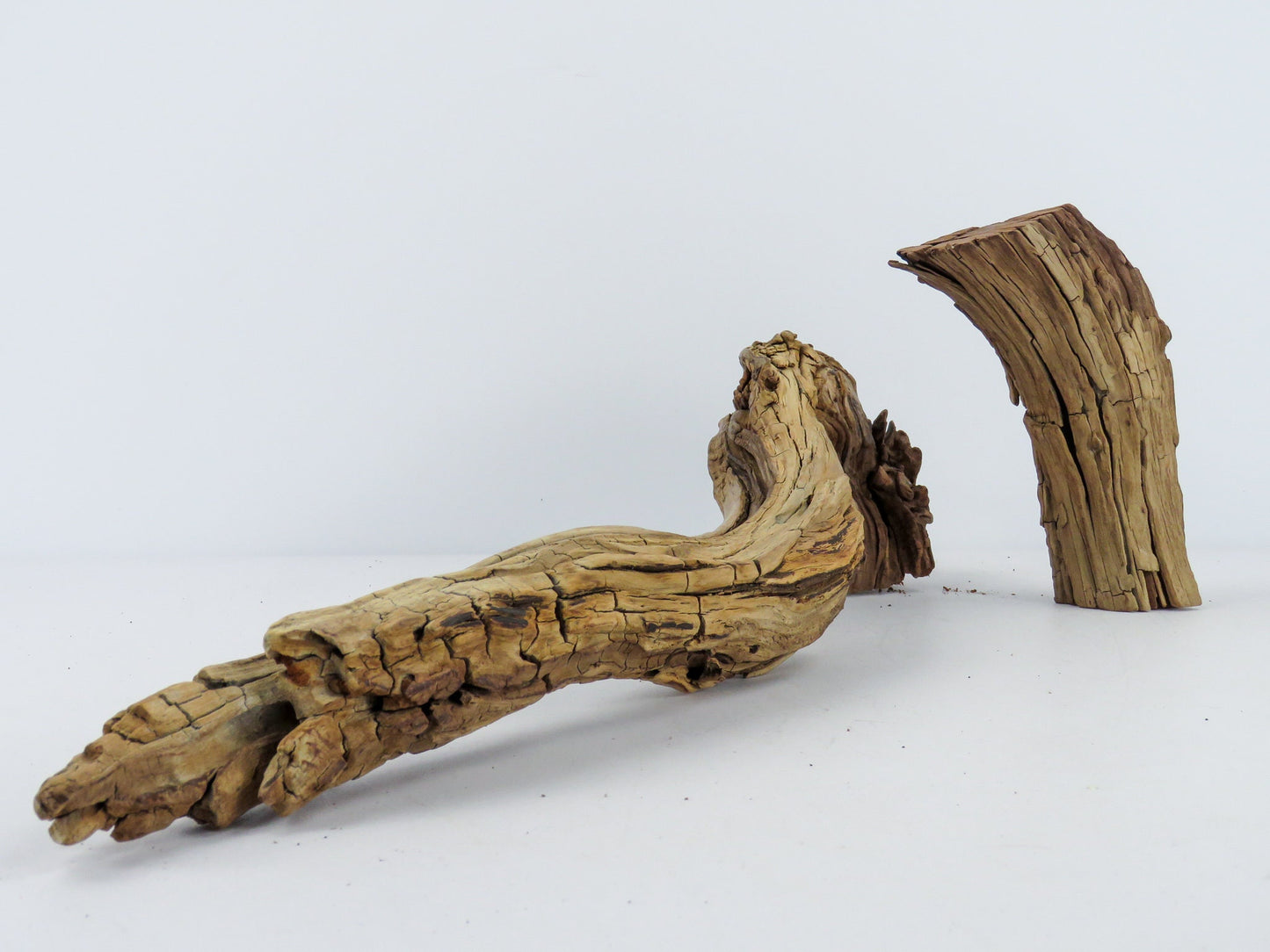 Manzanita Root Driftwood, (24" & 8"), Vivarium Decor, High-Quality Arizona Manzanita Driftwood, Driftwood Sculpture, Aquarium Driftwood