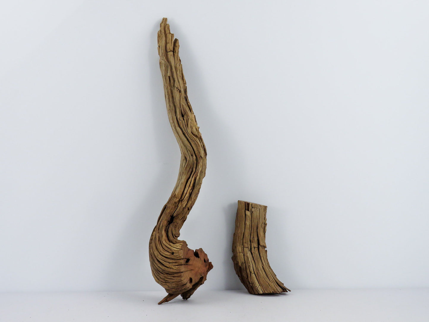 Manzanita Root Driftwood, (24" & 8"), Vivarium Decor, High-Quality Arizona Manzanita Driftwood, Driftwood Sculpture, Aquarium Driftwood