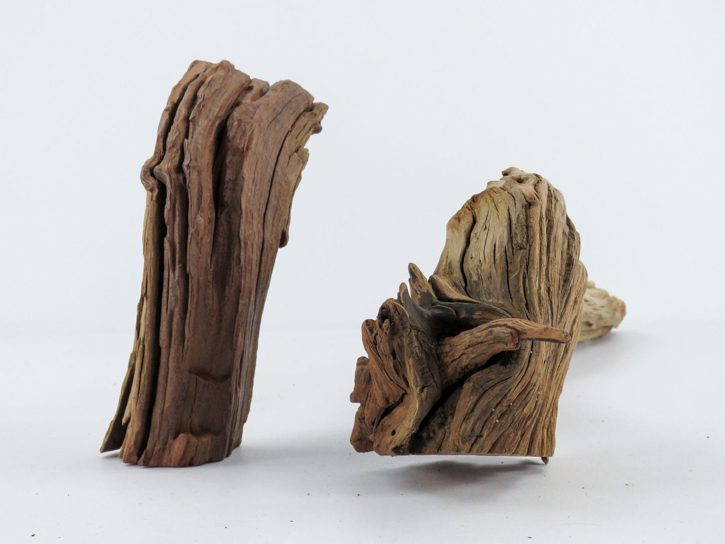 Manzanita Root Driftwood, (24" & 8"), Vivarium Decor, High-Quality Arizona Manzanita Driftwood, Driftwood Sculpture, Aquarium Driftwood