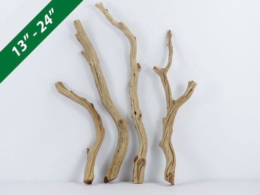 Manzanita Driftwood
