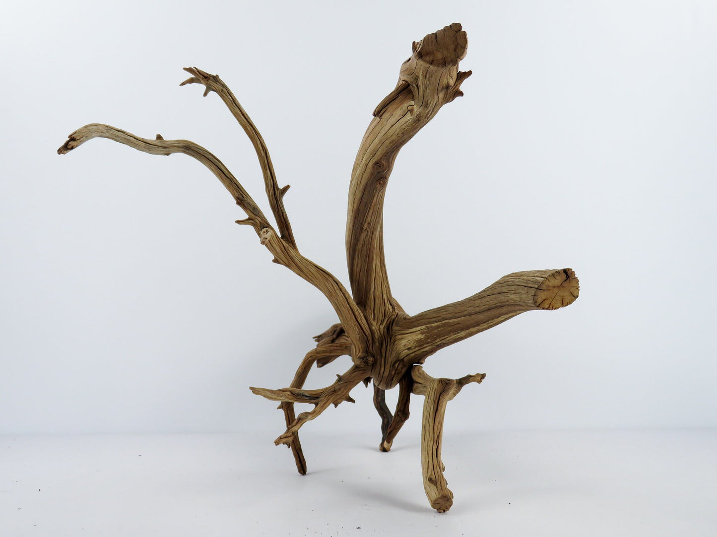 Large Aquarium Driftwood with Root end, (24"), Fish Tank Decor, Reptile Tank Decor, Terrarium Decor, Vivarium Decor
