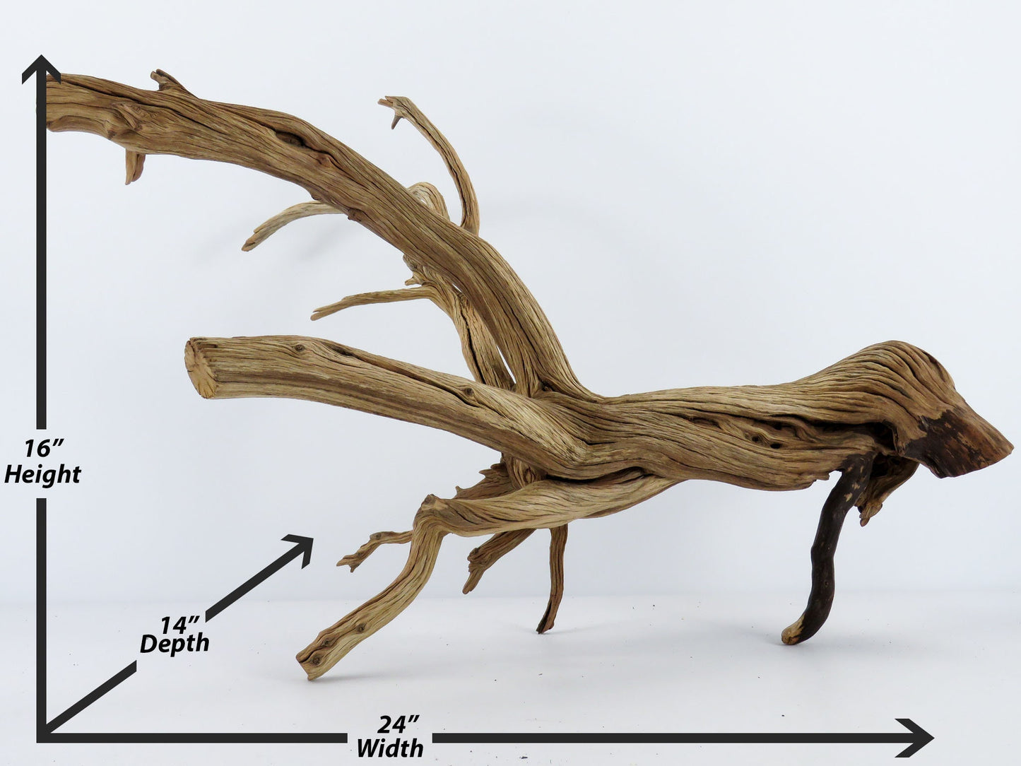 Large Aquarium Driftwood with Root end, (24"), Fish Tank Decor, Reptile Tank Decor, Terrarium Decor, Vivarium Decor