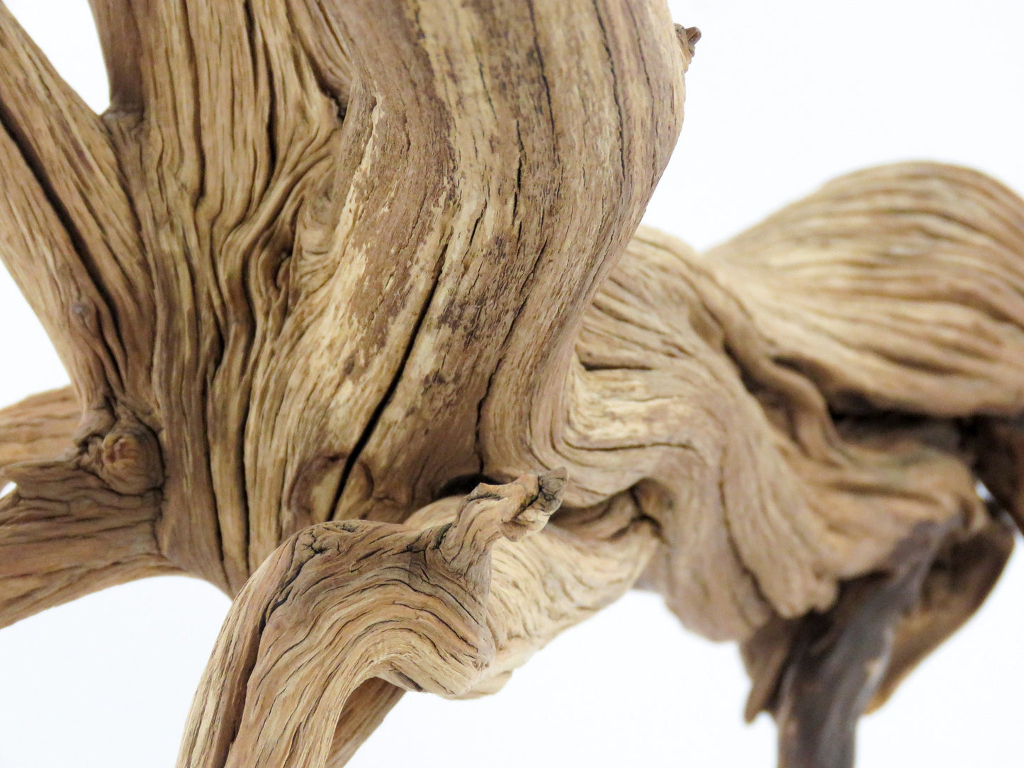 Large Aquarium Driftwood with Root end, (24"), Fish Tank Decor, Reptile Tank Decor, Terrarium Decor, Vivarium Decor