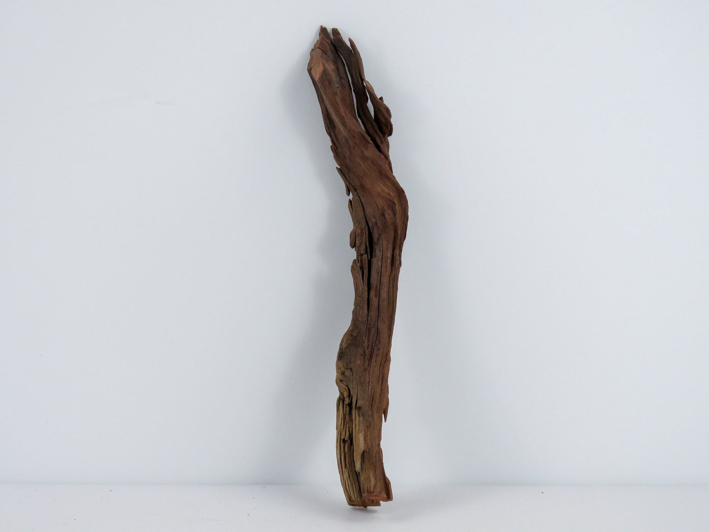 Manzanita Branch/Root Driftwood, (3pc set), Driftwood Art, High-Quality Arizona Manzanita Driftwood, Driftwood Sculpture, Driftwood Decor