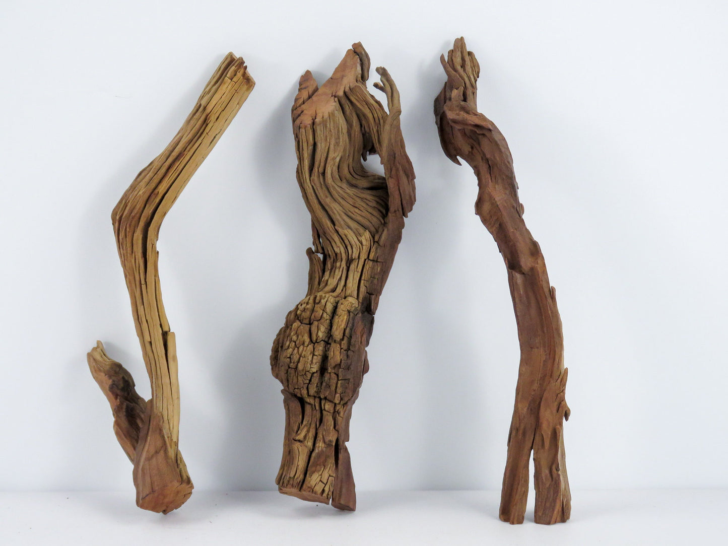 Manzanita Branch/Root Driftwood, (3pc set), Driftwood Art, High-Quality Arizona Manzanita Driftwood, Driftwood Sculpture, Driftwood Decor