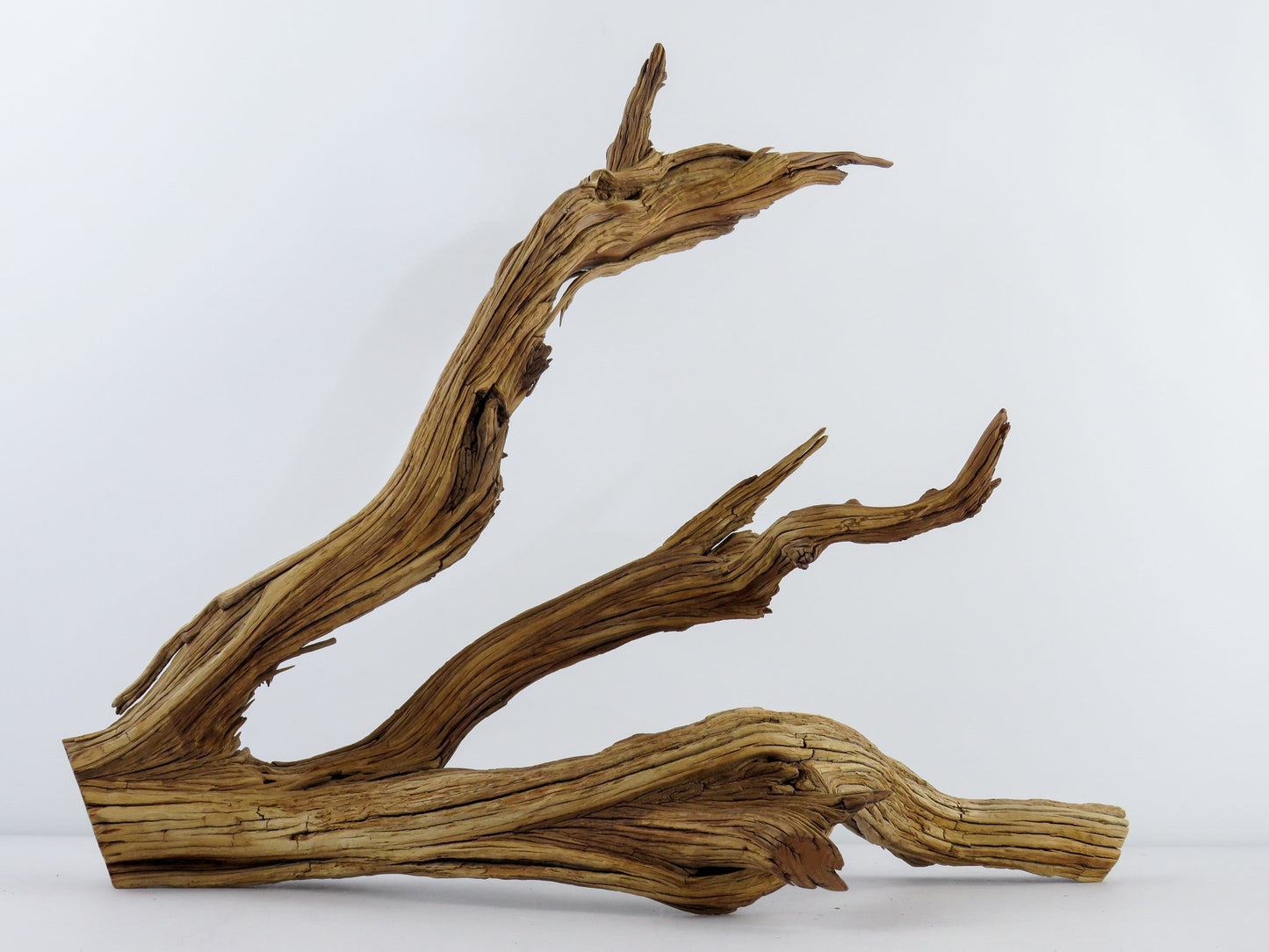 Large Weathered Driftwood (20") Fish Tank Decor, Reptile Tank Decor, Terrarium Decor, Vivarium Decor, High-Quality Arizona Manzanita Branch