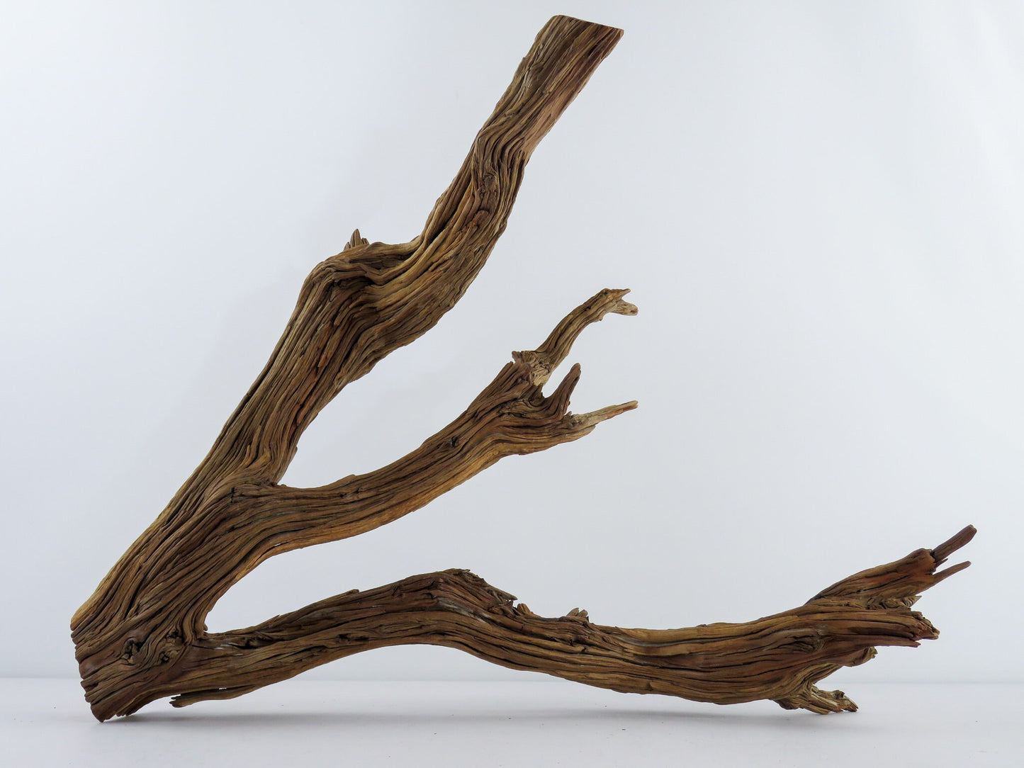 Large Weathered Driftwood (20") Fish Tank Decor, Reptile Tank Decor, Terrarium Decor, Vivarium Decor, High-Quality Arizona Manzanita Branch