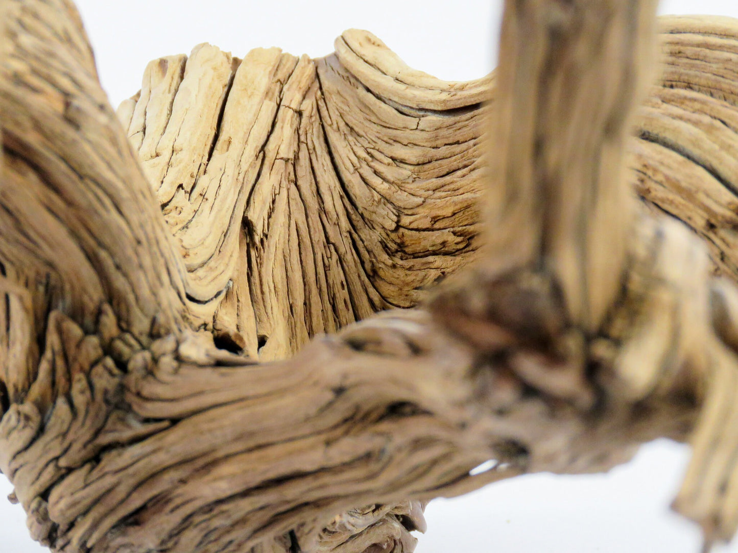 Large Weathered Driftwood (20") Fish Tank Decor, Reptile Tank Decor, Terrarium Decor, Vivarium Decor, High-Quality Arizona Manzanita Branch