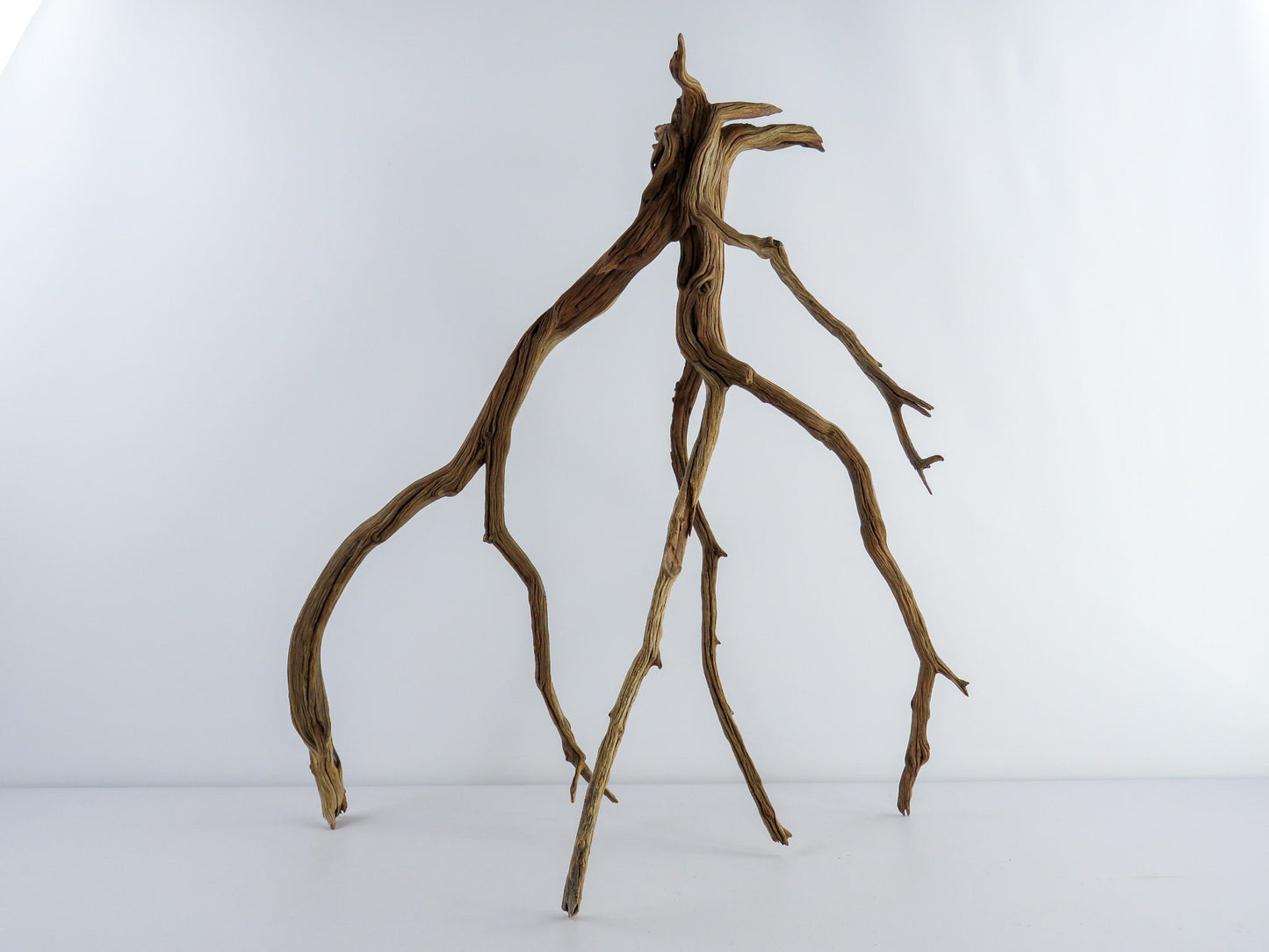 Manzanita Driftwood