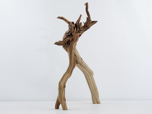 Manzanita Driftwood
