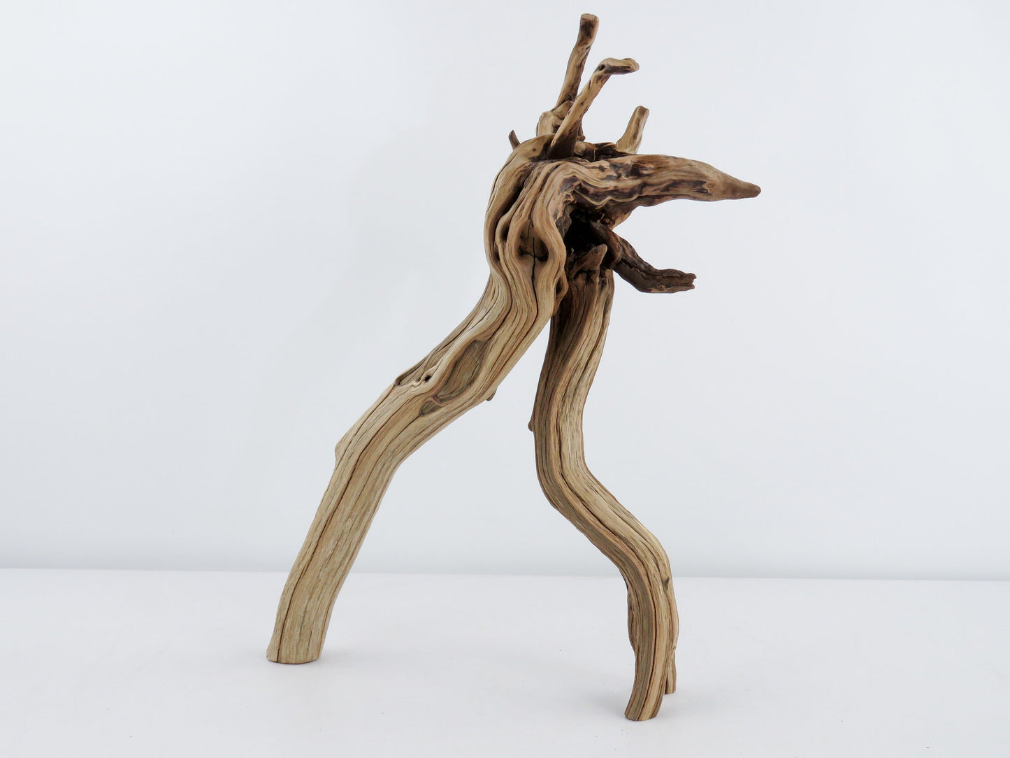 Unique Root-top Manzanita Driftwood, (16") Driftwood Art, High-Quality Arizona Manzanita Driftwood, Driftwood Sculpture, Driftwood Decor