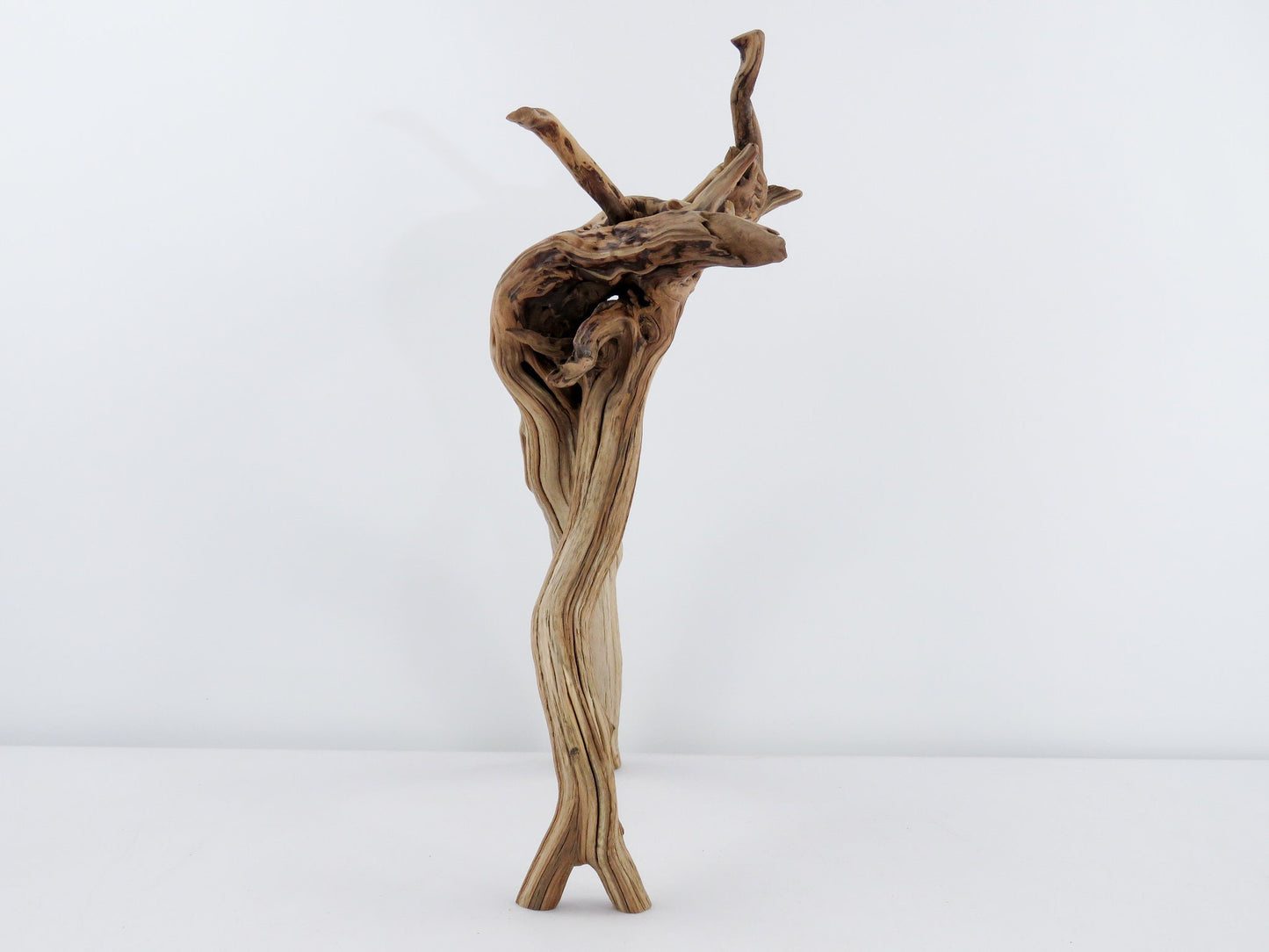 Unique Root-top Manzanita Driftwood, (16") Driftwood Art, High-Quality Arizona Manzanita Driftwood, Driftwood Sculpture, Driftwood Decor