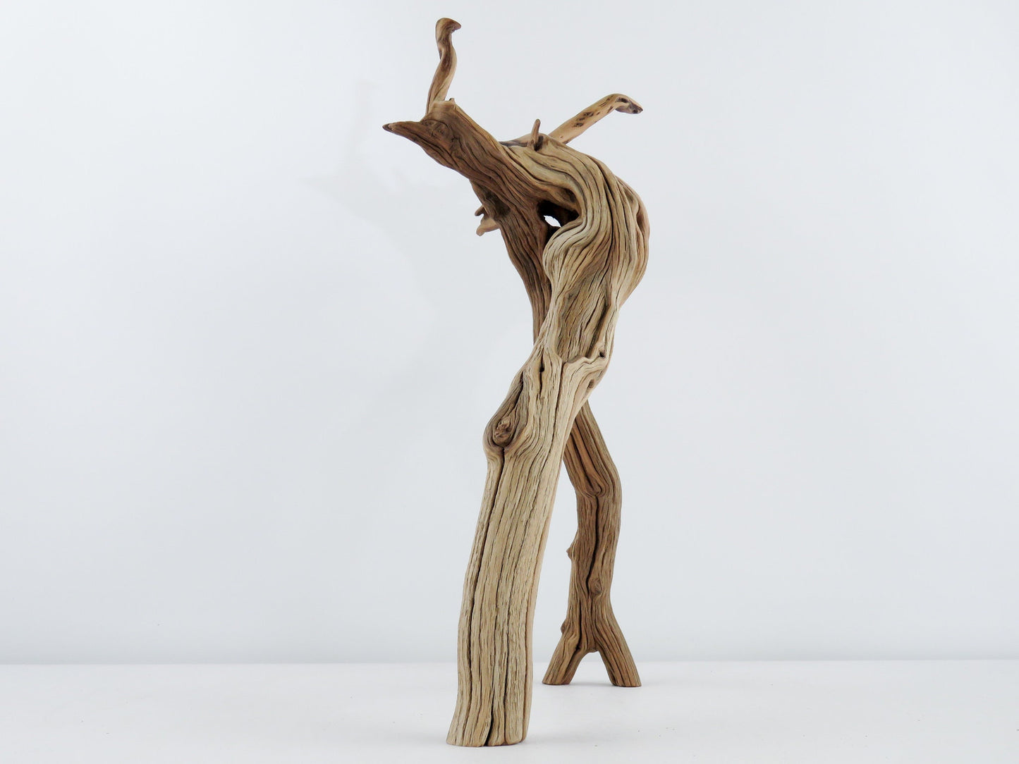 Unique Root-top Manzanita Driftwood, (16") Driftwood Art, High-Quality Arizona Manzanita Driftwood, Driftwood Sculpture, Driftwood Decor