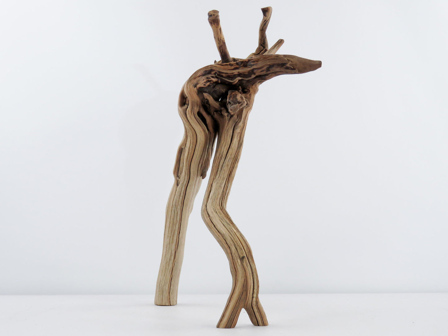 Unique Root-top Manzanita Driftwood, (16") Driftwood Art, High-Quality Arizona Manzanita Driftwood, Driftwood Sculpture, Driftwood Decor