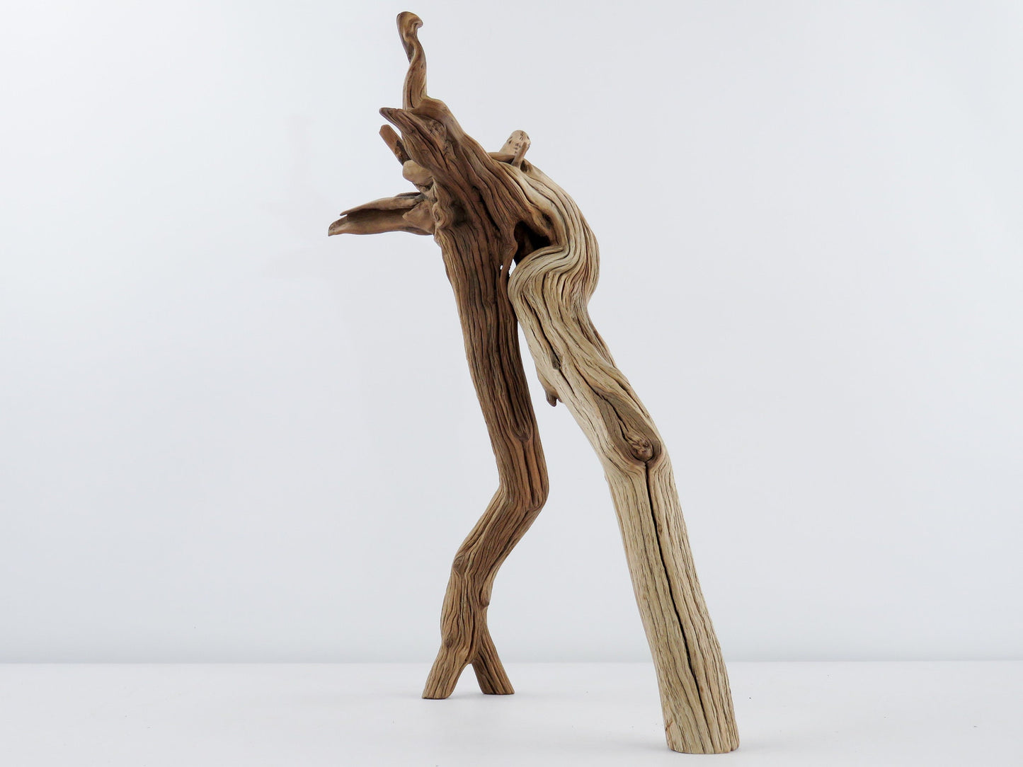 Unique Root-top Manzanita Driftwood, (16") Driftwood Art, High-Quality Arizona Manzanita Driftwood, Driftwood Sculpture, Driftwood Decor