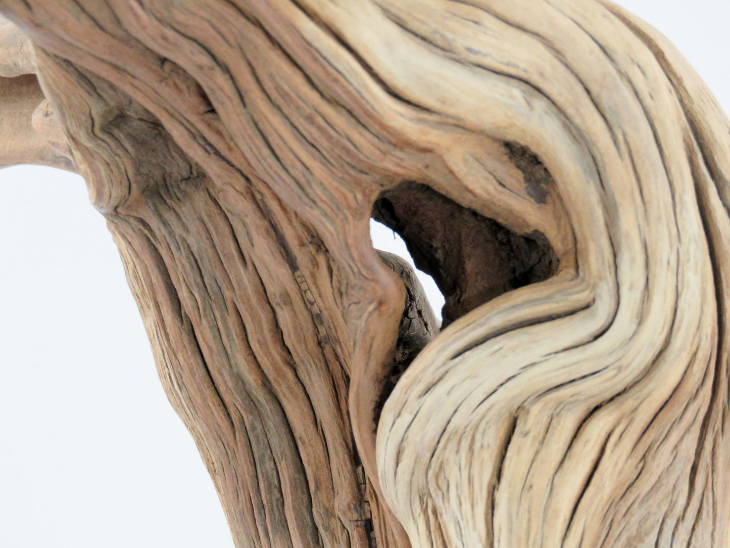 Unique Root-top Manzanita Driftwood, (16") Driftwood Art, High-Quality Arizona Manzanita Driftwood, Driftwood Sculpture, Driftwood Decor