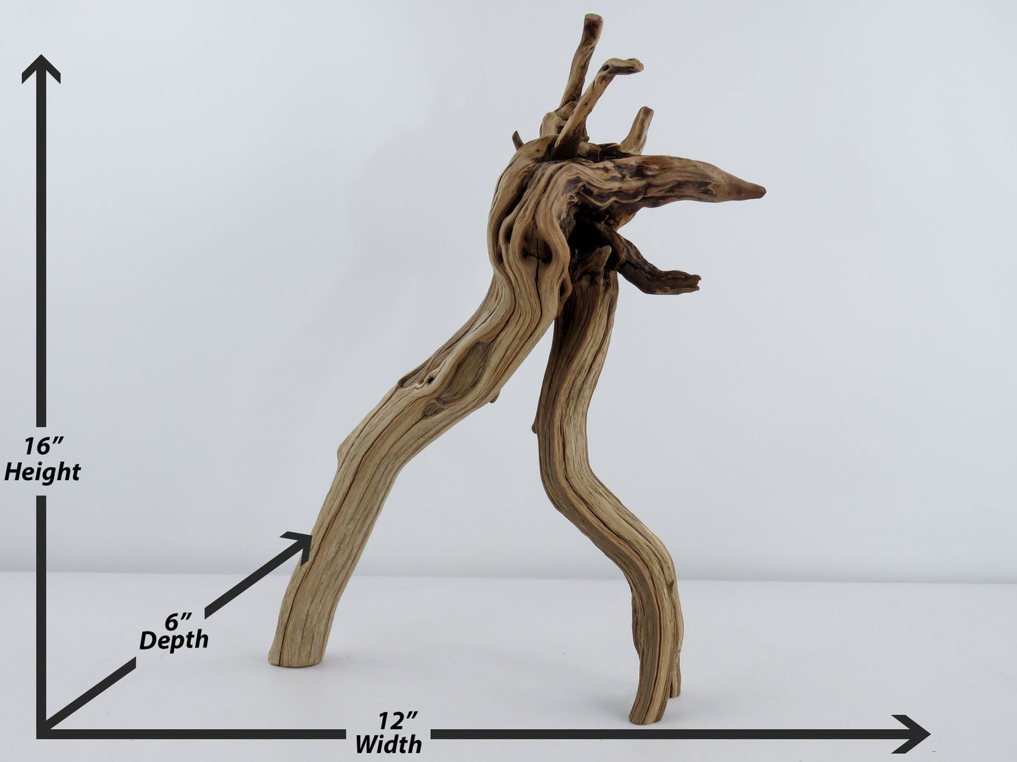 Unique Root-top Manzanita Driftwood, (16") Driftwood Art, High-Quality Arizona Manzanita Driftwood, Driftwood Sculpture, Driftwood Decor
