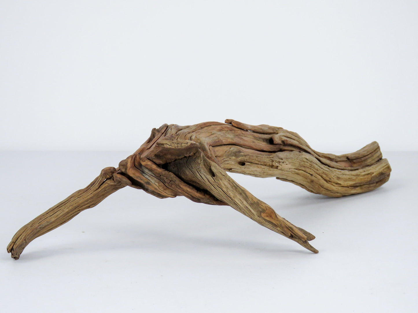 Root like Manzanita Branch Driftwood (2 pc set) Driftwood Art High-Quality Arizona Manzanita Driftwood, Driftwood Sculpture, Driftwood Decor
