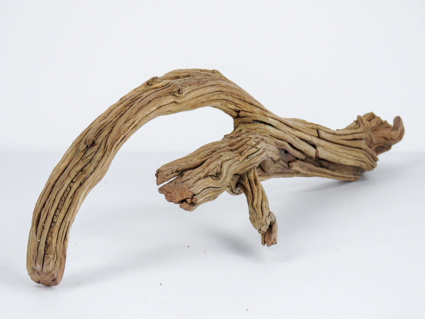 Root like Manzanita Branch Driftwood (2 pc set) Driftwood Art High-Quality Arizona Manzanita Driftwood, Driftwood Sculpture, Driftwood Decor