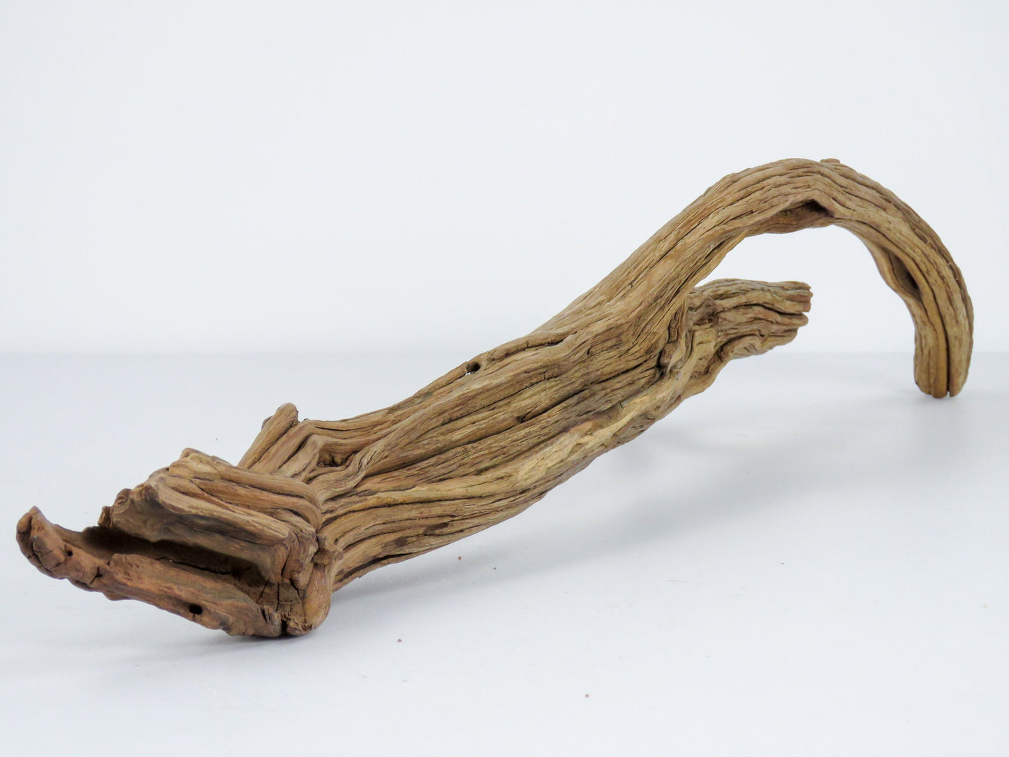 Root like Manzanita Branch Driftwood (2 pc set) Driftwood Art High-Quality Arizona Manzanita Driftwood, Driftwood Sculpture, Driftwood Decor