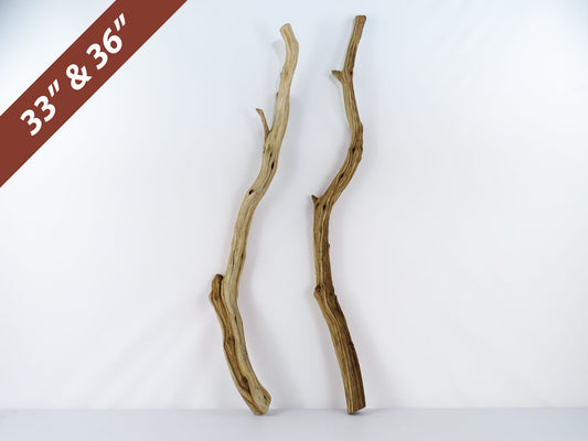 Manzanita Driftwood