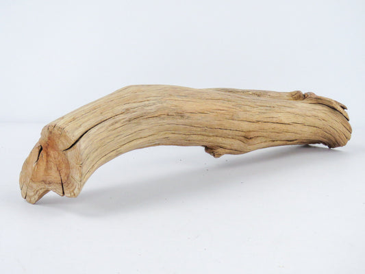 Manzanita Driftwood