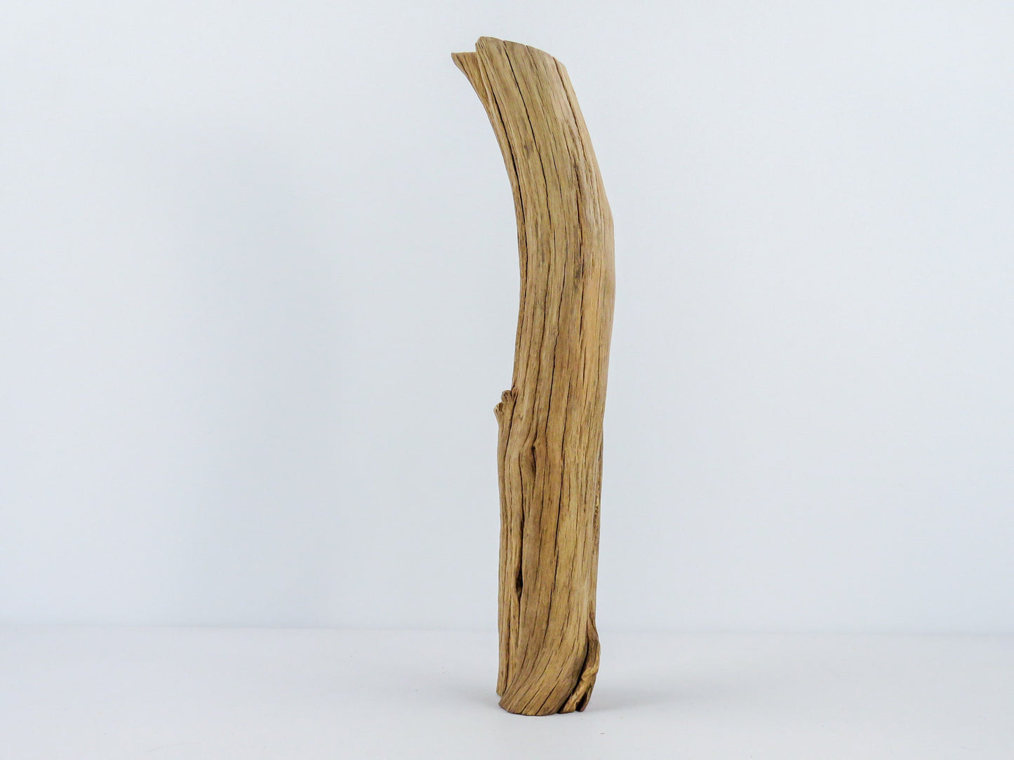 Smooth Manzanita Aquarium Driftwood log, (16"), Reptile Terrarium, Driftwood Decor, Vivarium Wood, High-Quality Arizona Manzanita Branches