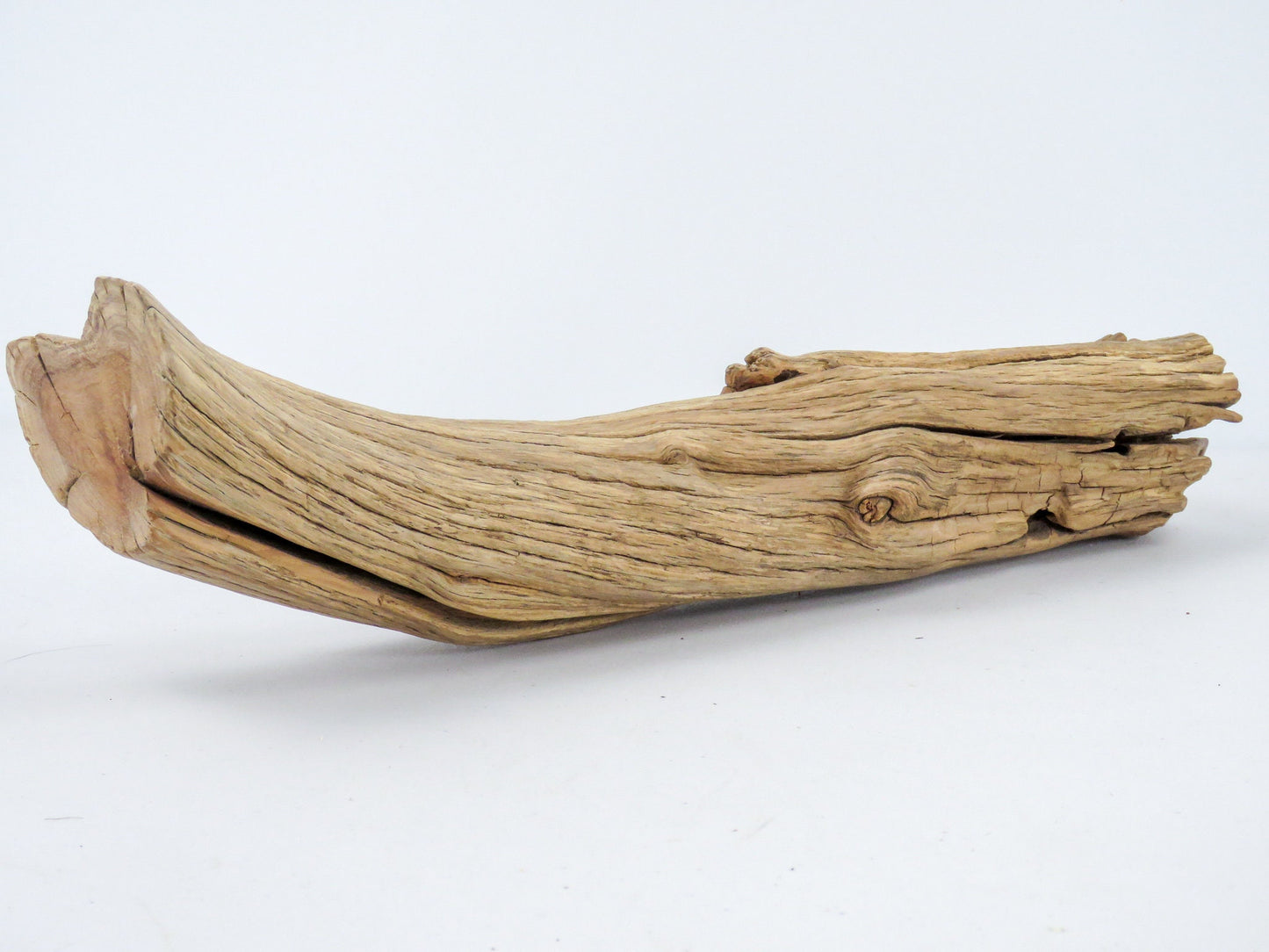 Smooth Manzanita Aquarium Driftwood log, (16"), Reptile Terrarium, Driftwood Decor, Vivarium Wood, High-Quality Arizona Manzanita Branches