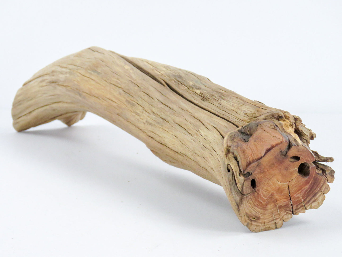 Smooth Manzanita Aquarium Driftwood log, (16"), Reptile Terrarium, Driftwood Decor, Vivarium Wood, High-Quality Arizona Manzanita Branches