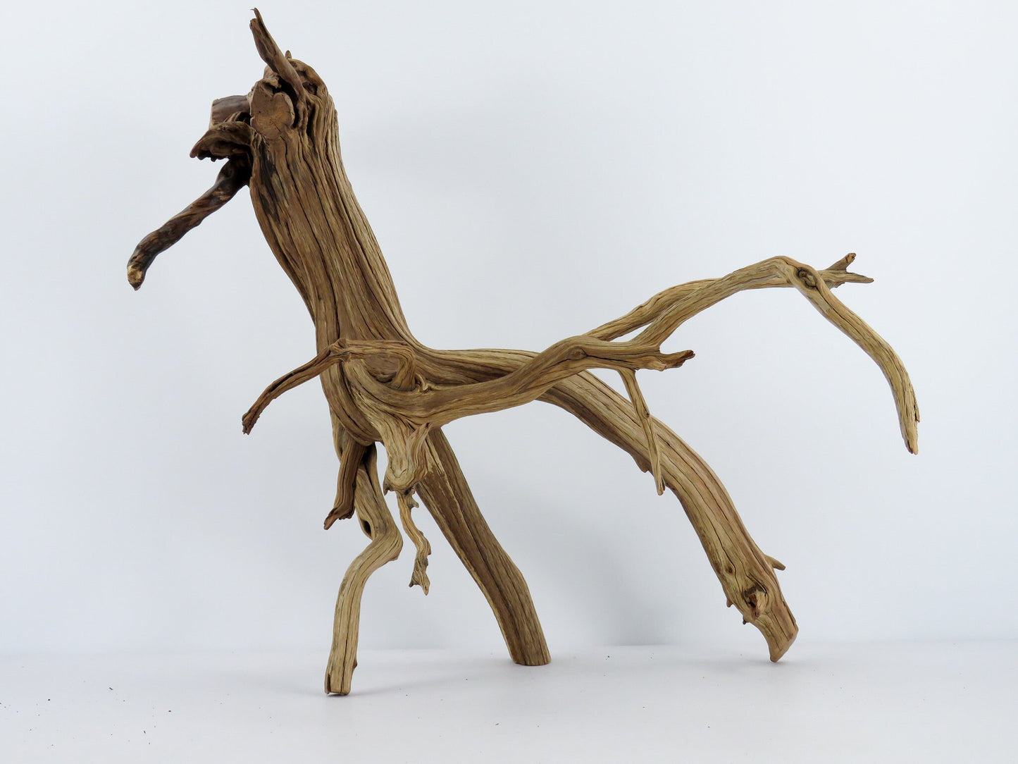 Large Aquarium Driftwood with Root end, (24"), Fish Tank Decor, Reptile Tank Decor, Terrarium Decor, Vivarium Decor