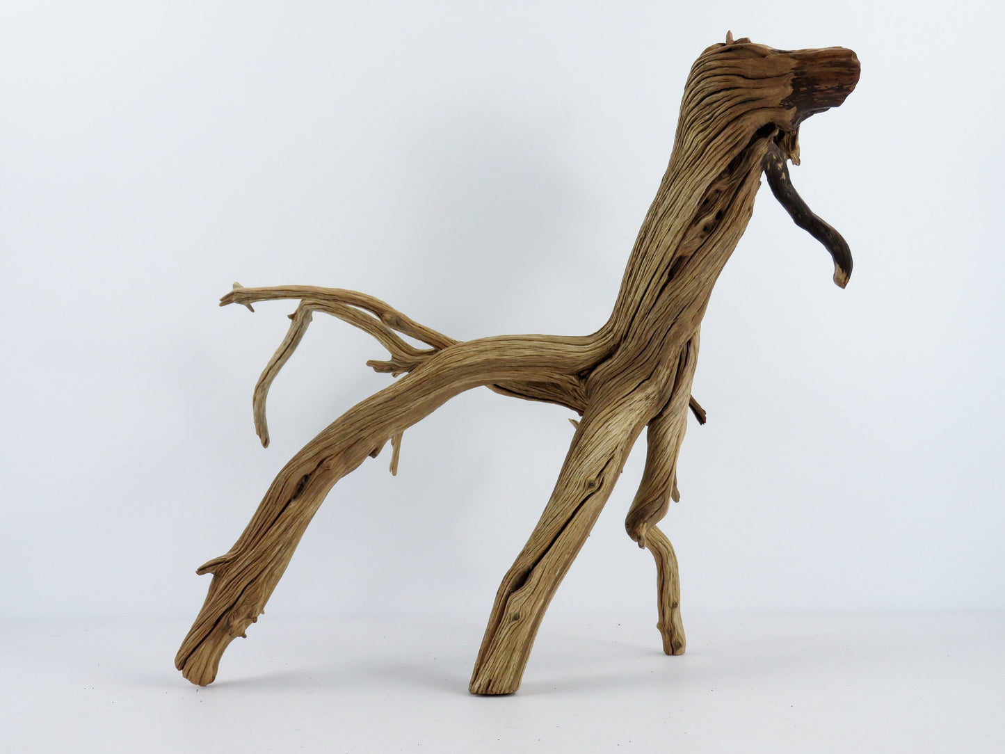 Large Aquarium Driftwood with Root end, (24"), Fish Tank Decor, Reptile Tank Decor, Terrarium Decor, Vivarium Decor