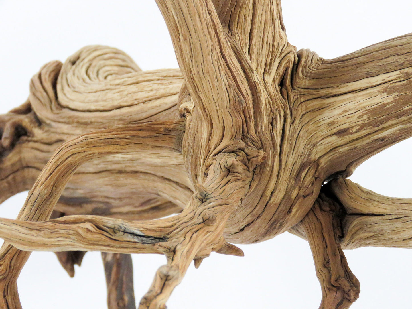 Large Aquarium Driftwood with Root end, (24"), Fish Tank Decor, Reptile Tank Decor, Terrarium Decor, Vivarium Decor