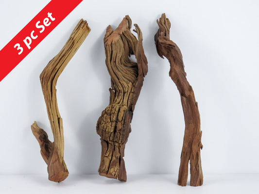 Manzanita Driftwood