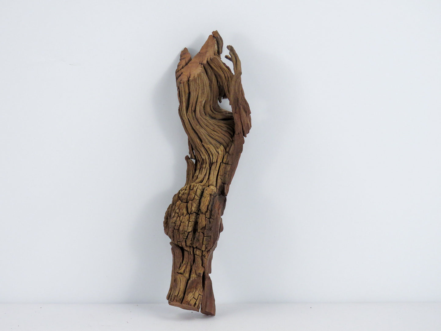 Manzanita Branch/Root Driftwood, (3pc set), Driftwood Art, High-Quality Arizona Manzanita Driftwood, Driftwood Sculpture, Driftwood Decor