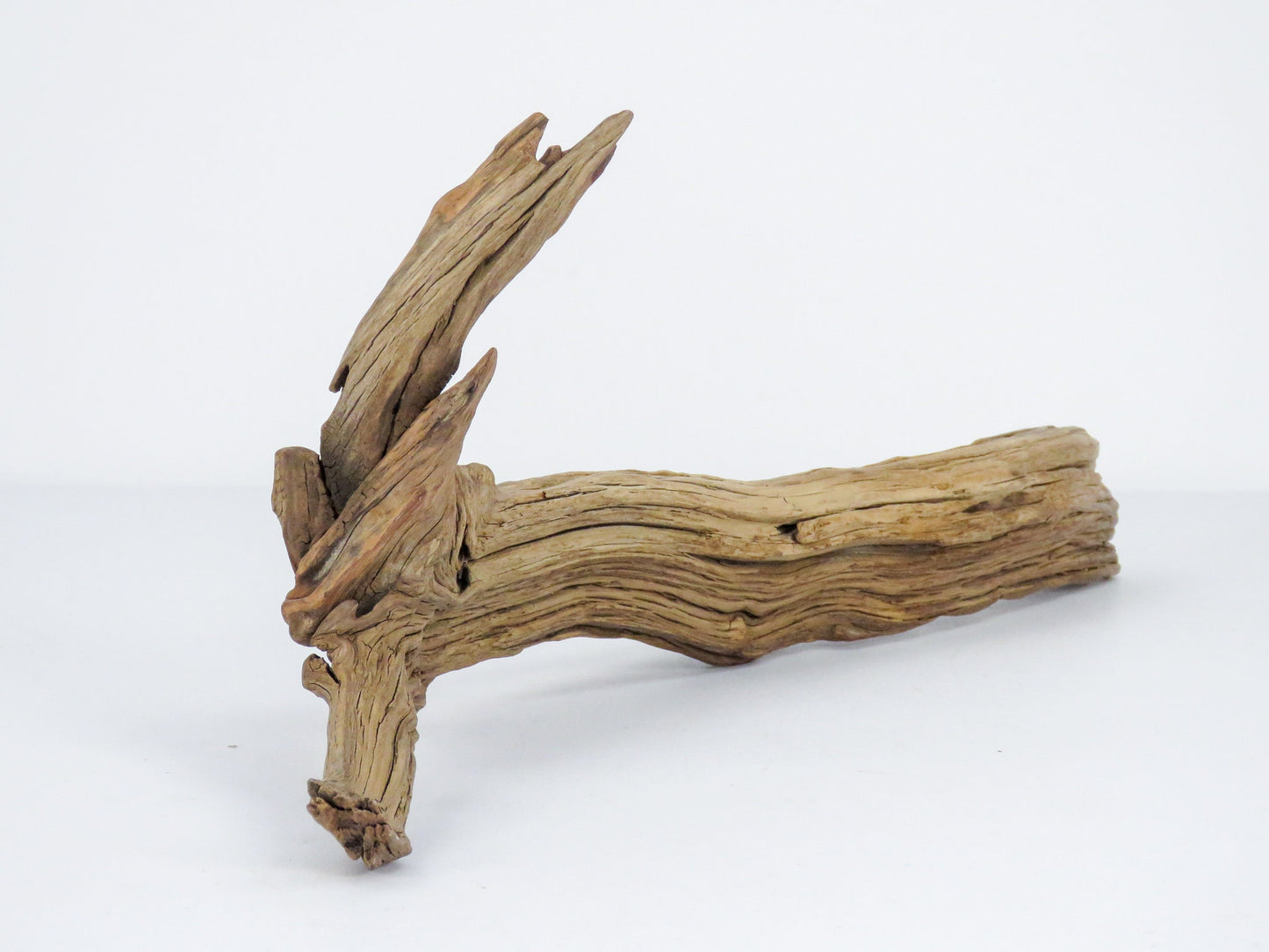 Root like Manzanita Branch Driftwood (2 pc set) Driftwood Art High-Quality Arizona Manzanita Driftwood, Driftwood Sculpture, Driftwood Decor