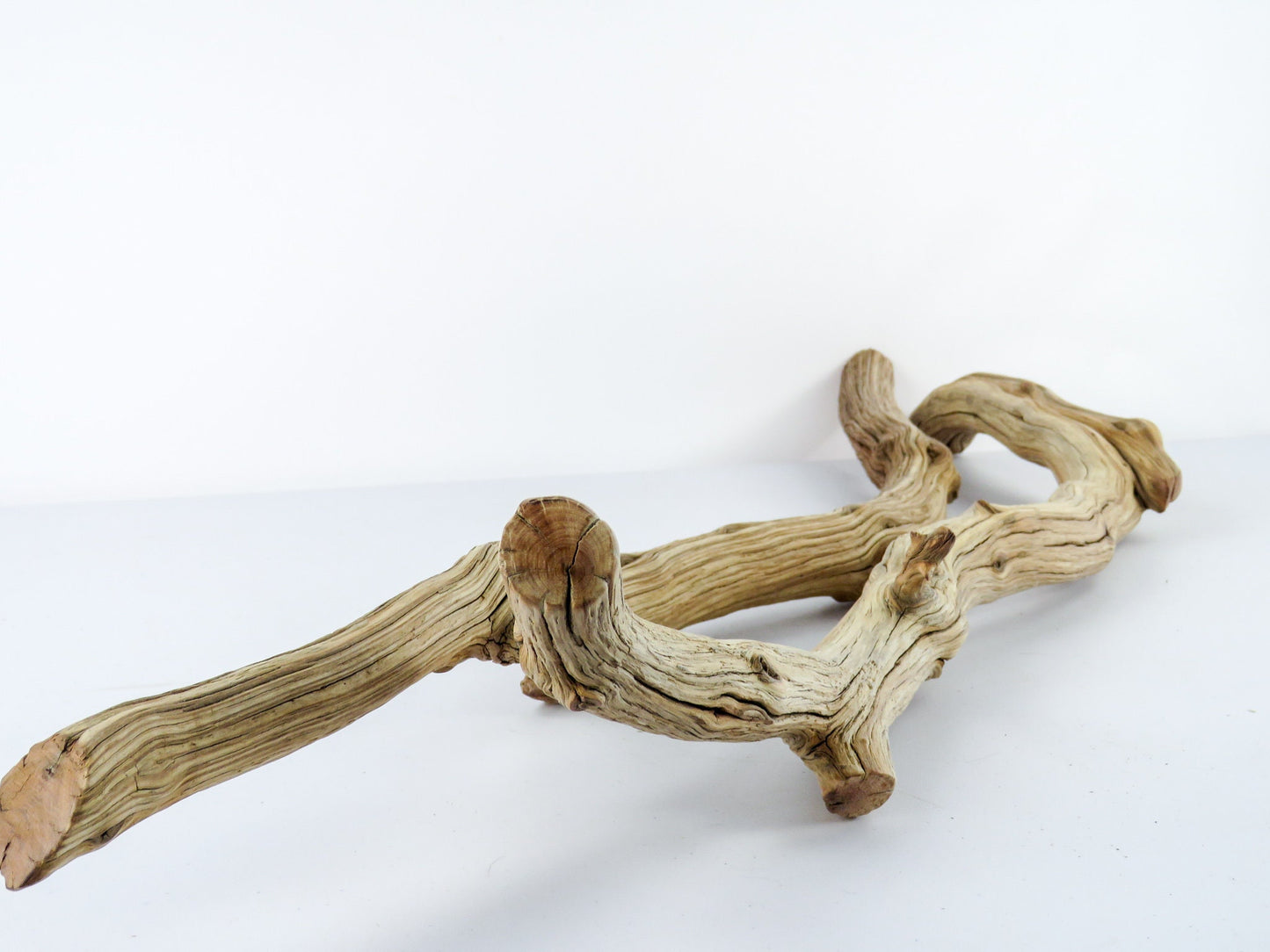 Large Manzanita Aquarium Driftwood, (2pc set) Reptile Terrarium, Driftwood Decor, Vivarium Wood, High-Quality Arizona Manzanita Branches