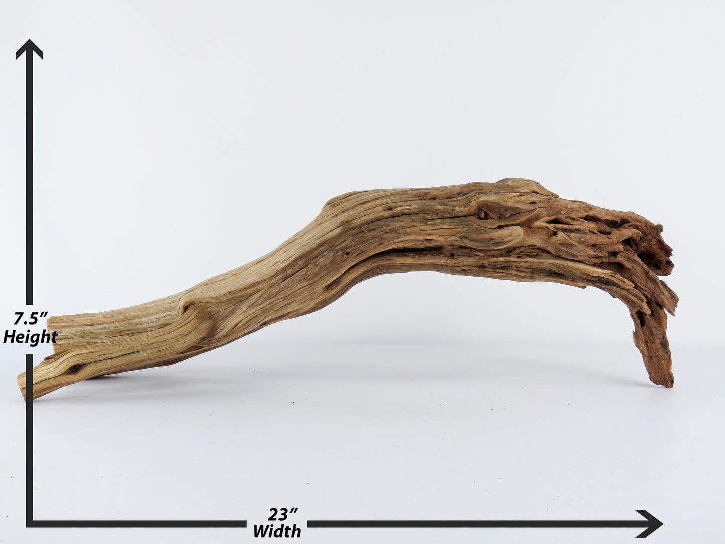 Manzanita Driftwood Log with Root end (23"), This arched log is perfect for Reptile enclosures, Terrariums, Aquarium or Home Decor