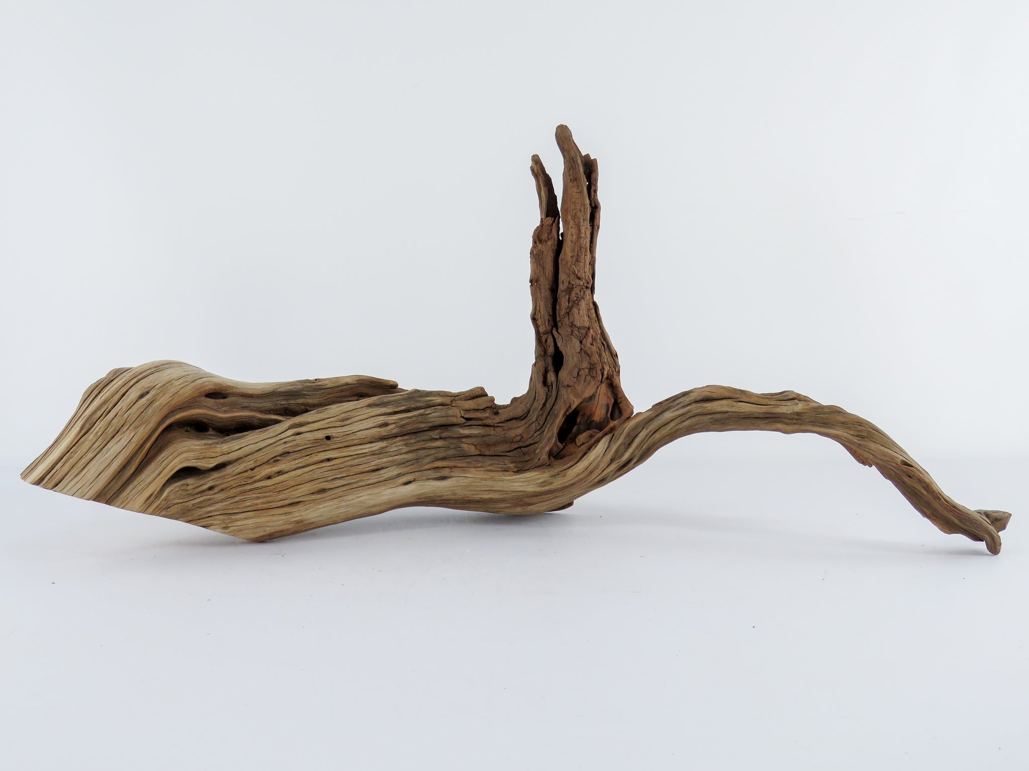 Weathered manzanita hotsell driftwood for large aquariums (~24”)