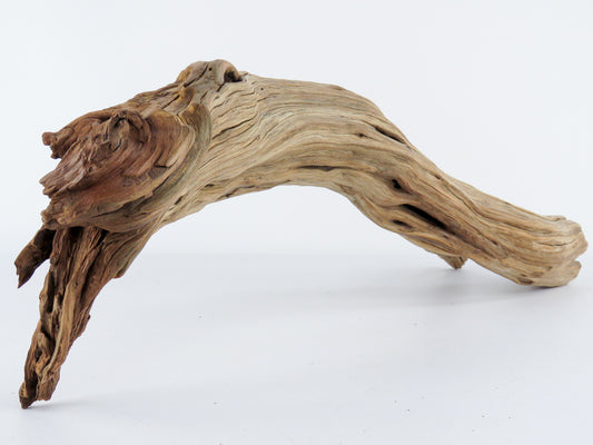 Arched Manzanita Driftwood Log | The Ideal Condtions