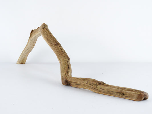 Long Arched Manzanita Driftwood | The Ideal Conditions