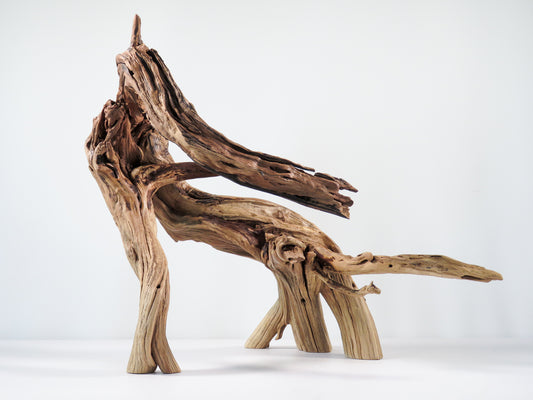 Large manzanita driftwood stump/root | The Ideal Conditions