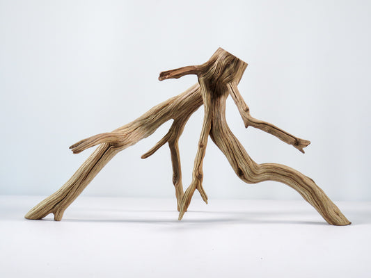 Manzanita Driftwood Branch | The Ideal Conditions