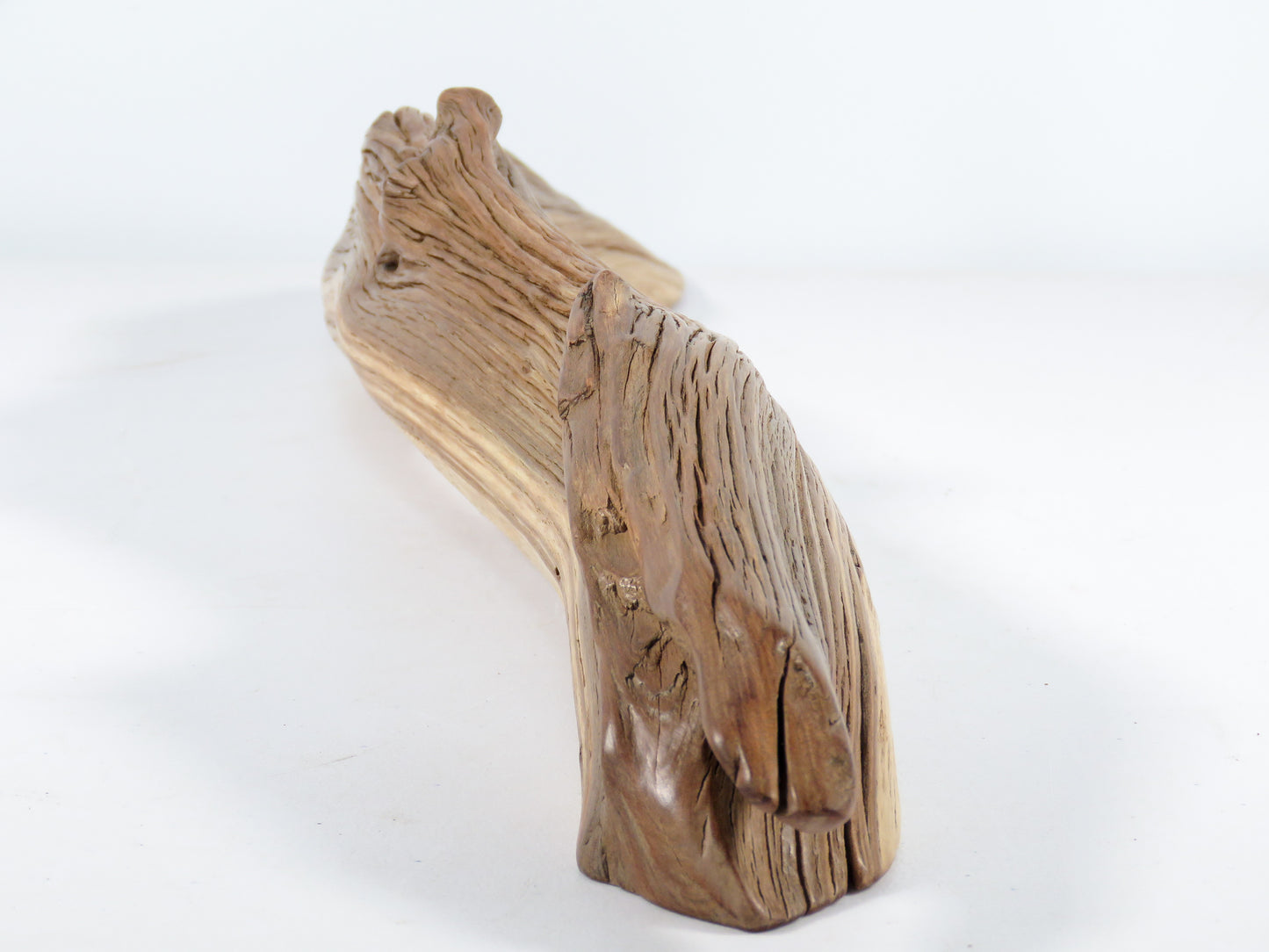 Manzanita Driftwood (21“), Unique, Arched, and perfect for beach house gifts, nautical or aquascape decor