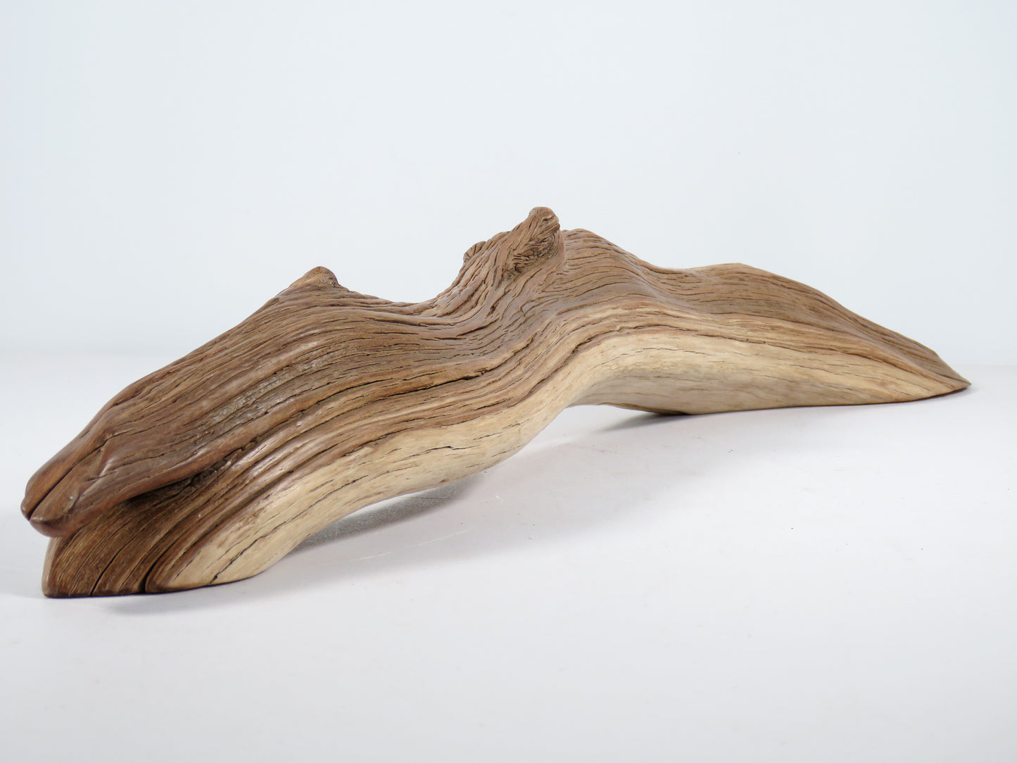 Manzanita Driftwood | The Ideal Conditions