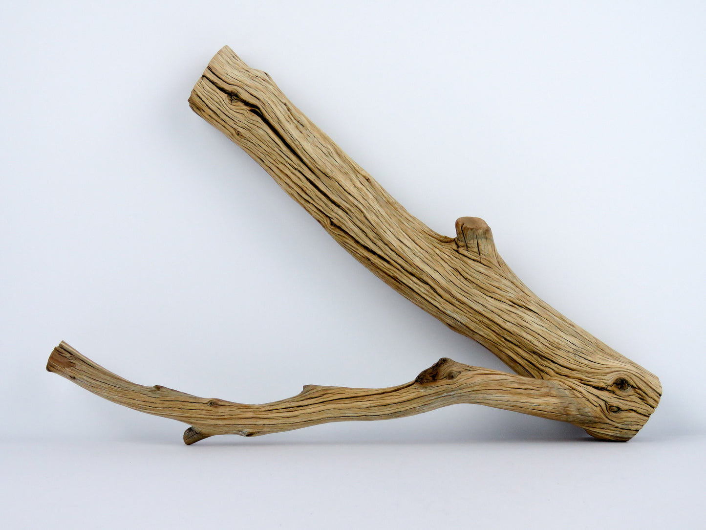 Fish Tank Decor,(15"),  Manzanita Branches, Aquarium Decor, Vivarium Decor, Manzanita Driftwood, Driftwood Decor