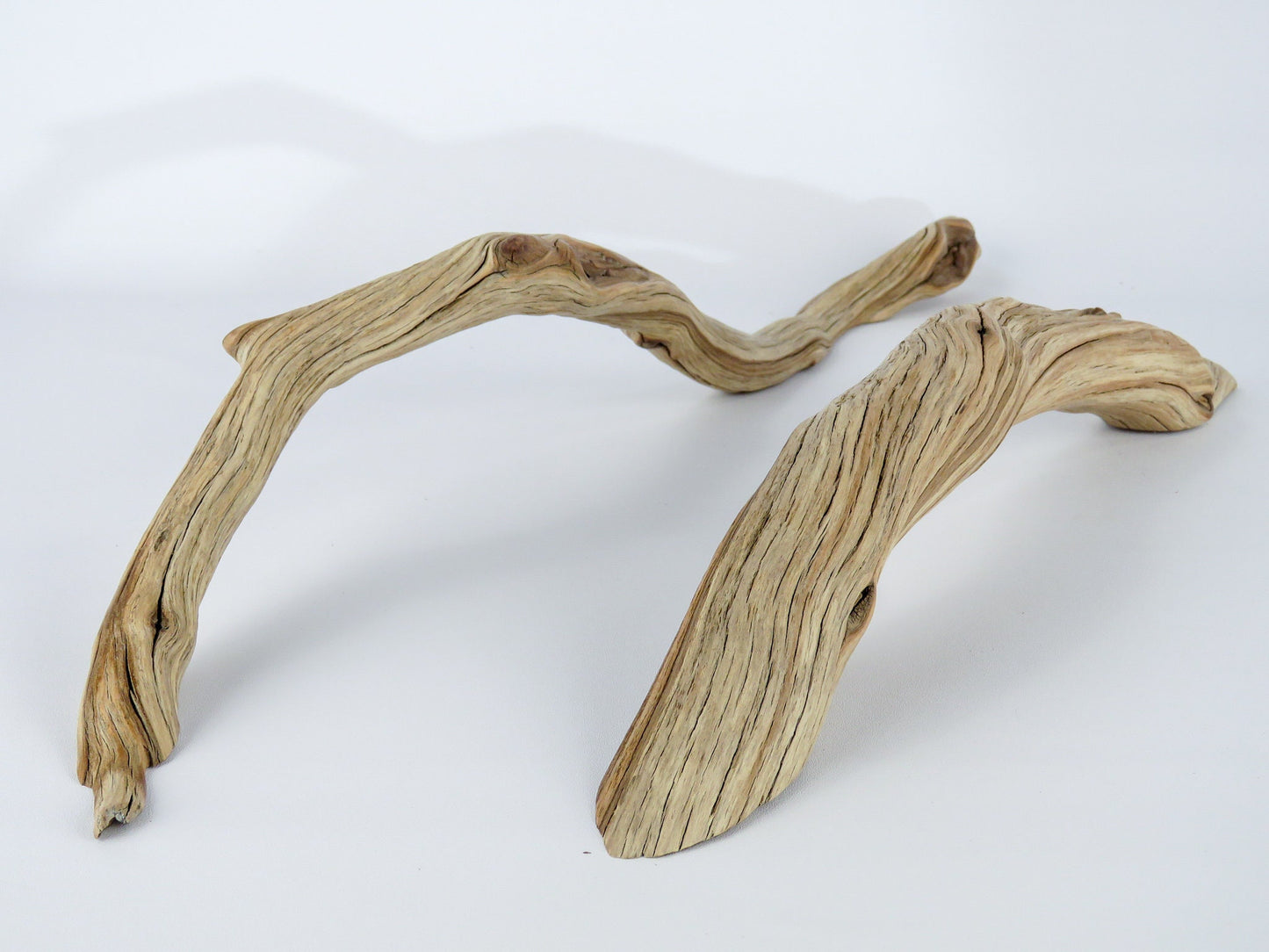 Manzanita Driftwood