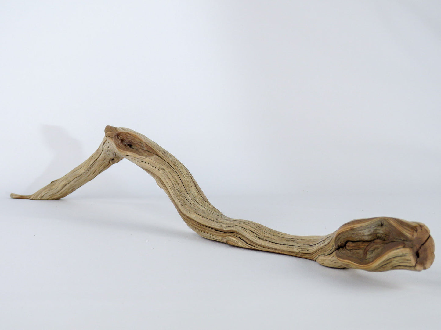 Beach House Gift, (2 pc set), (21" & 16"), Minimalist Decor, Arched Manzanita Driftwood, Arizona Manzanita Branches, Driftwood Decor,